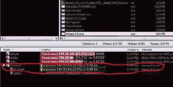 Краткий курс по rmDC++