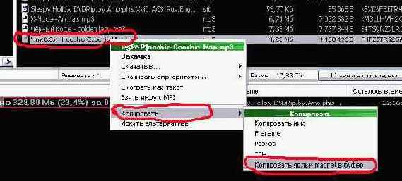Краткий курс по rmDC++