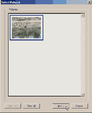 в меню Layout Sizes 